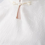 Standing Collar Buckle Cheongsam
