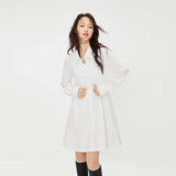 Collar Short Skirt Shirt Dress Set