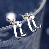 Silver - Plated Hook Back Earrings