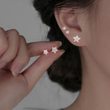 Shiny Zircon Star Stud Earrings