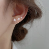 Shiny Zircon Star Stud Earrings