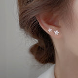 Shiny Zircon Star Stud Earrings