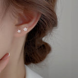 Shiny Zircon Star Stud Earrings