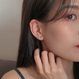 Silver - Plated Hook Back Earrings