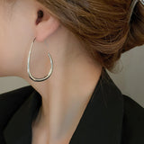 Shiny Teardrop Hoop Earrings