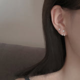 Silver - Plated Hook Back Earrings