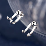 Silver - Plated Hook Back Earrings