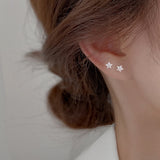 Shiny Zircon Star Stud Earrings