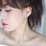 Twisted Double - Layer Hoop Earrings