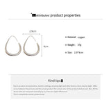 Shiny Teardrop Hoop Earrings