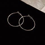 Silver Niche Hoop Earrings (2 Styles, Silver Needles)